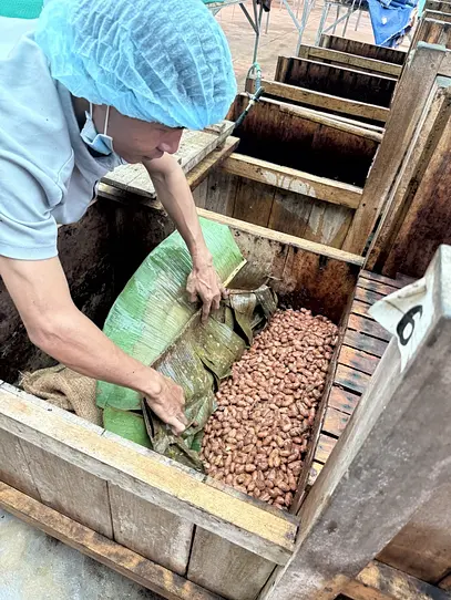 BINON CACAO の物語【後編】—ベトナムカカオ、その多彩な個性