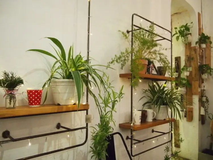 ポコロコ・ベトナム