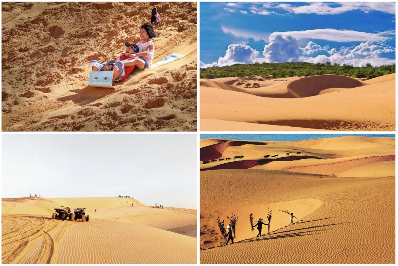 ムイネー日帰りツアー／日本語ガイド・専用車・ランチ付き