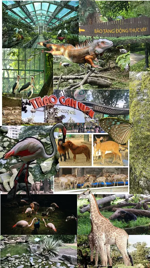 ベトナムで1,000円で何ができる？ | 物価・食事・移動・観光まで徹底ガイド