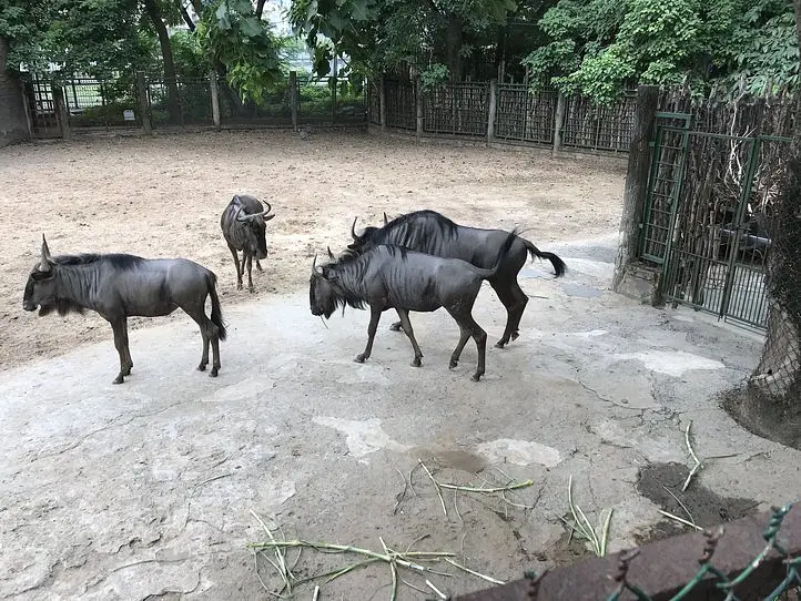 子供から大人まで楽しむことができる、歴史あるサイゴン動植物園