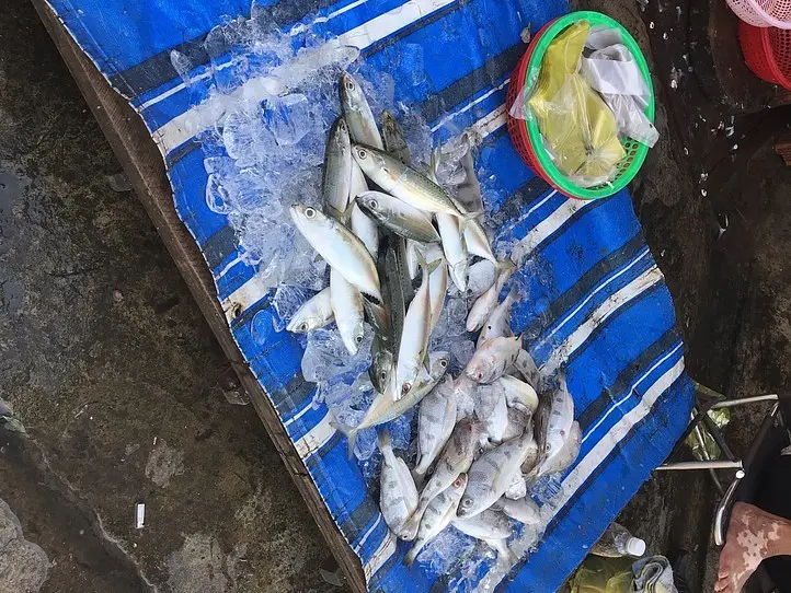 ホーチミンのローカル市場、ティゲー市場で食材探し&デザートタイム