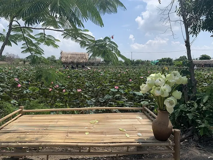 【週末特集】ベトナムの国花、ハスの花を堪能できるハス池に行ってみよう〜「Tam Da Dam Sen」〜