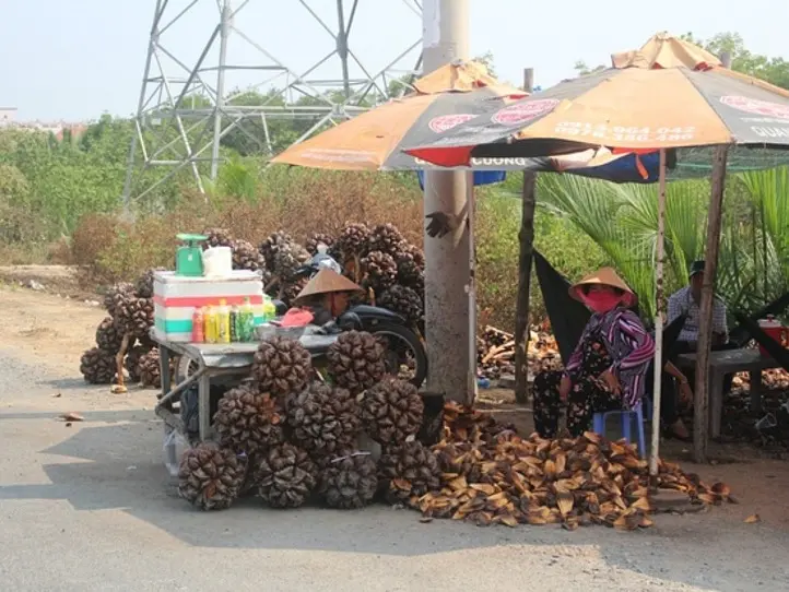 ベトナムらしさ120%！ナチュラルエコツアー「カンザー」を楽しむ