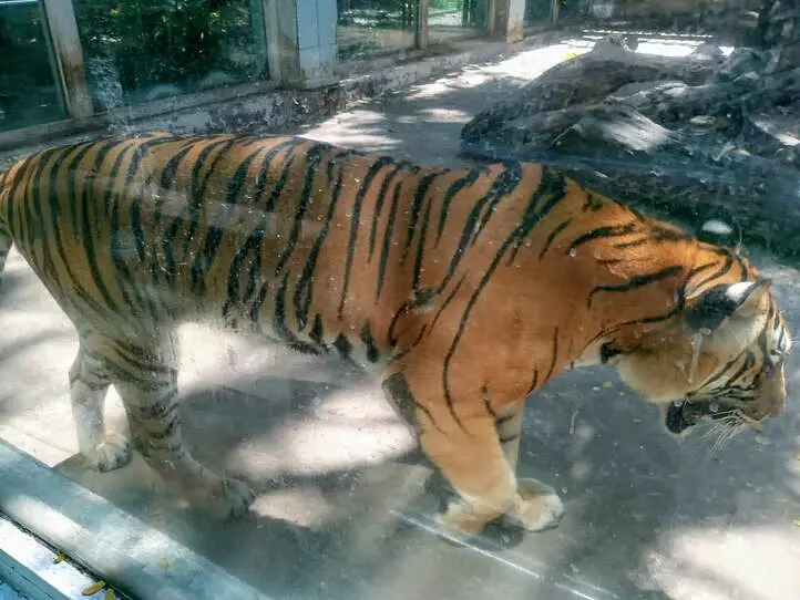 【週末特集】ベトナムの歴史と文化を辿る。ホーチミン市歴史博物館