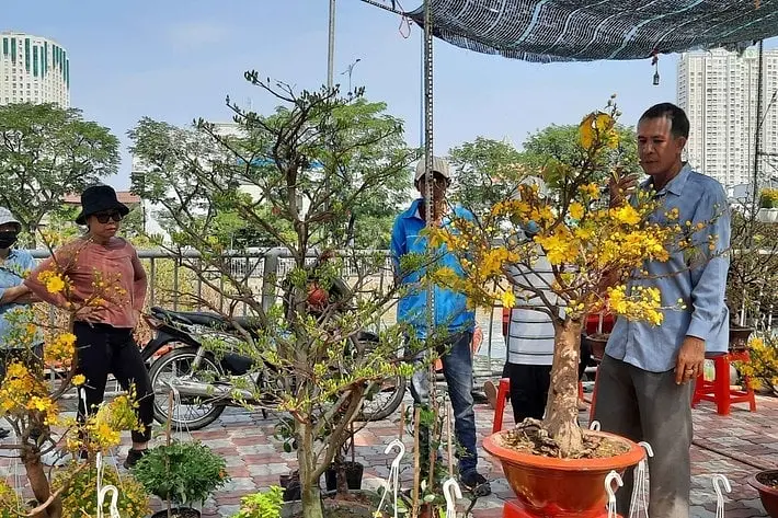 【2026年2月〜4月】テト（旧正月）時期に楽しむホーチミン市の主要イベント・祭りガイド