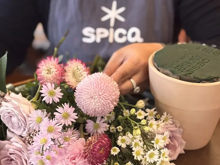 スピカ・スタジオ