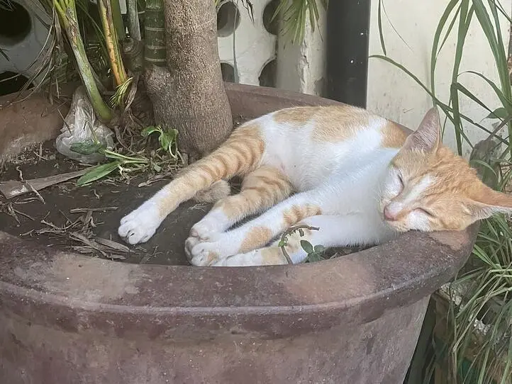 　【プノンペン】20ドル以下で泊まれる格安ホテル２選