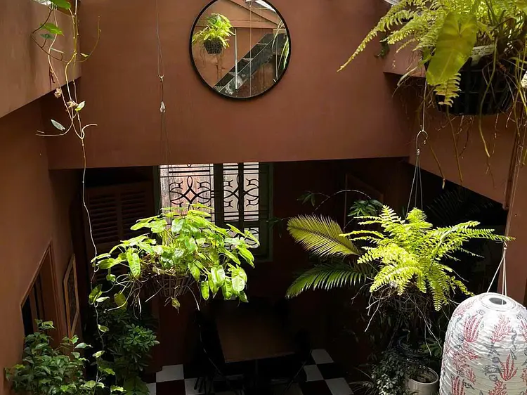 サオサク カフェ＆プランツ