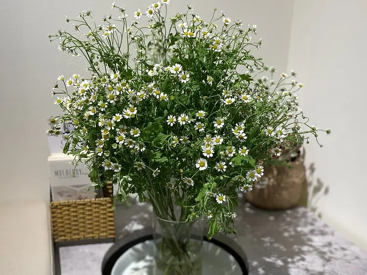 マルベリー スパ＆ヘア スタジオ