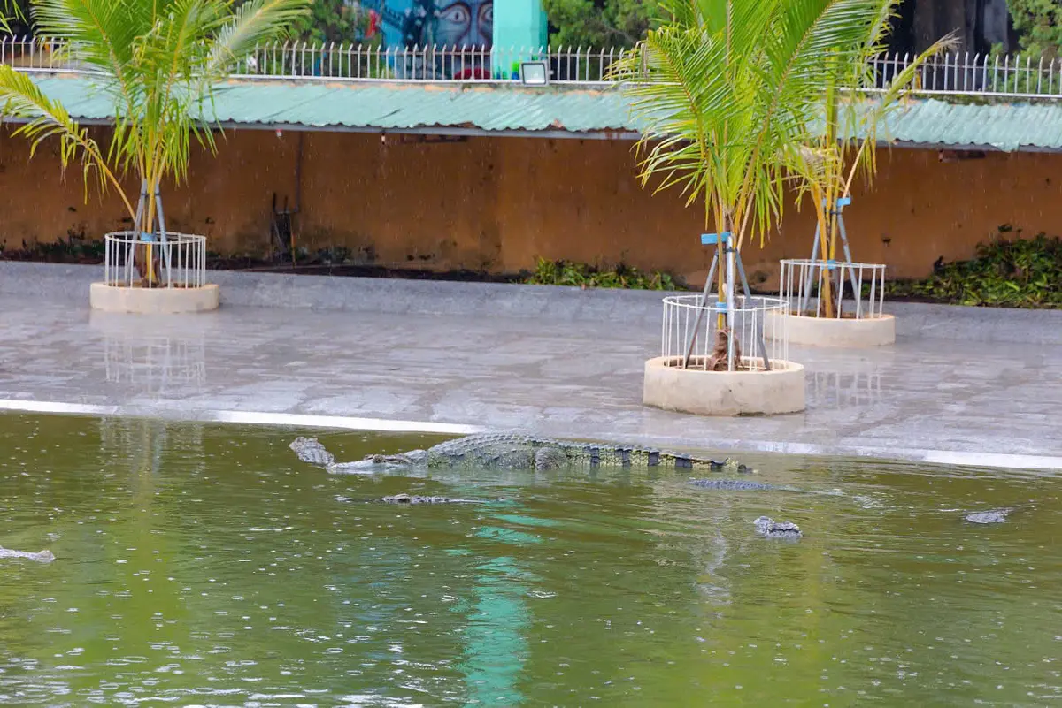 ホーチミン発！サイゴンブルートラベル × スイティエン文化観光 新ツアー