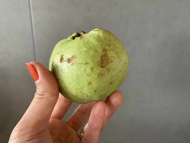 ホーチミンのスーパーで買える、南国フルーツ食べ比べ