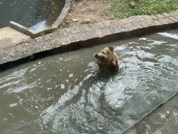 ホーチミンから1時間！ダチョウに乗れる公園 にいってみよう〜Vuon Xoai(Mango Garden Resort)〜