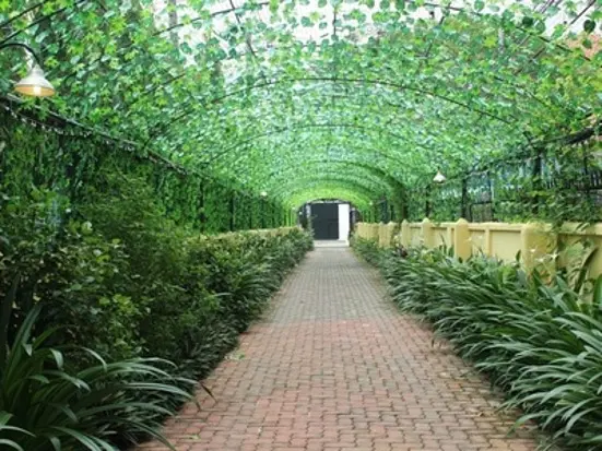 ピーリュクス・ロイヤル