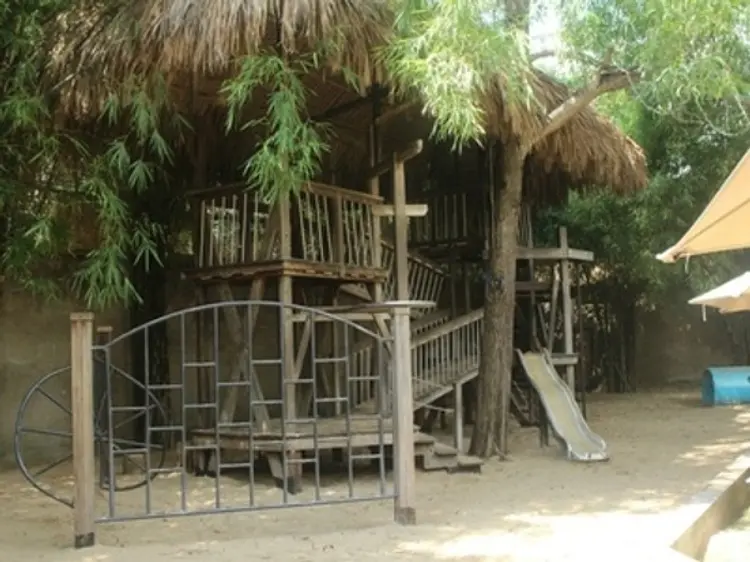 The Snap Cafe (スナップ・カフェ)