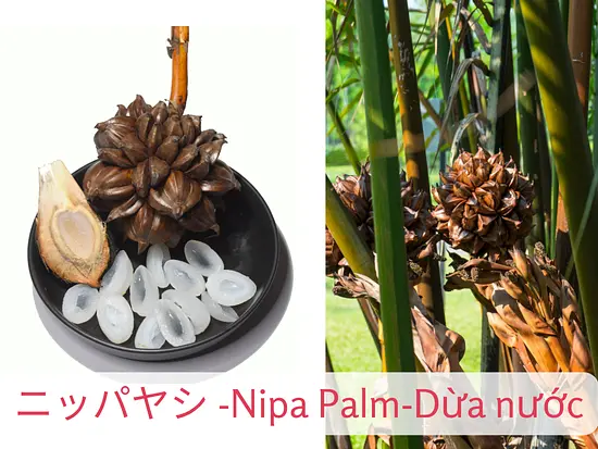 ホーチミンの暑さを忘れさせる！雨季と乾季のベトナムフルーツ特集
