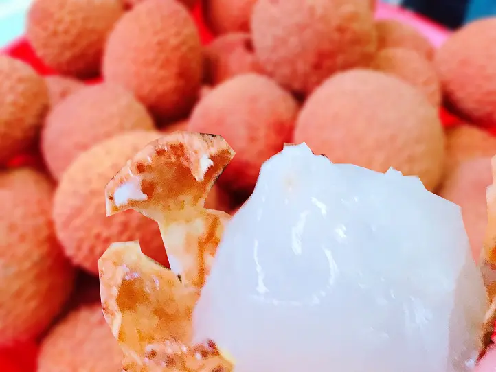 ベトナムにライチの季節がやってきました