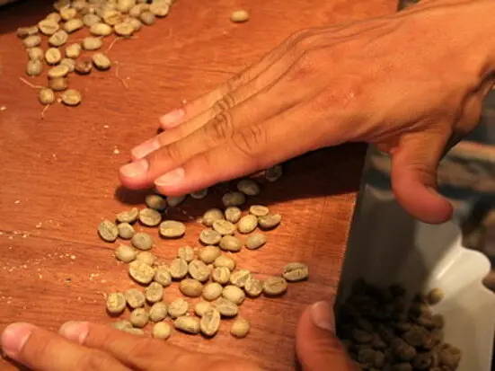 雰囲気と味に惹かれてシンコーヒーへ