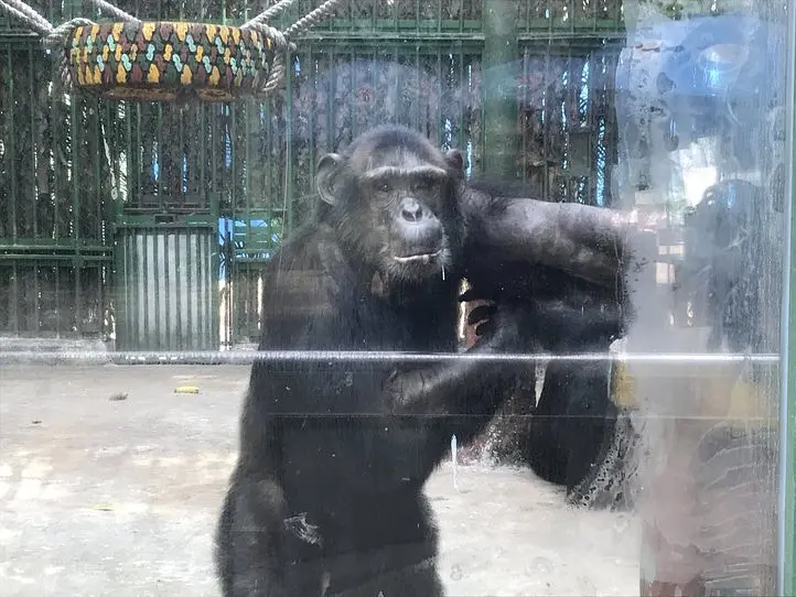 子供から大人まで楽しむことができる、歴史あるサイゴン動植物園