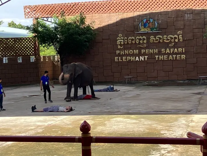 　【プノンペン】本格ショーが見られるサファリが物凄かった