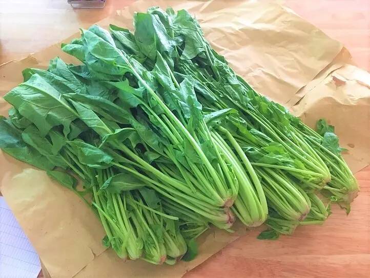 【サービス終了】アプリで日本語で注文できる！　便利なネットスーパー「カメマート」のご紹介