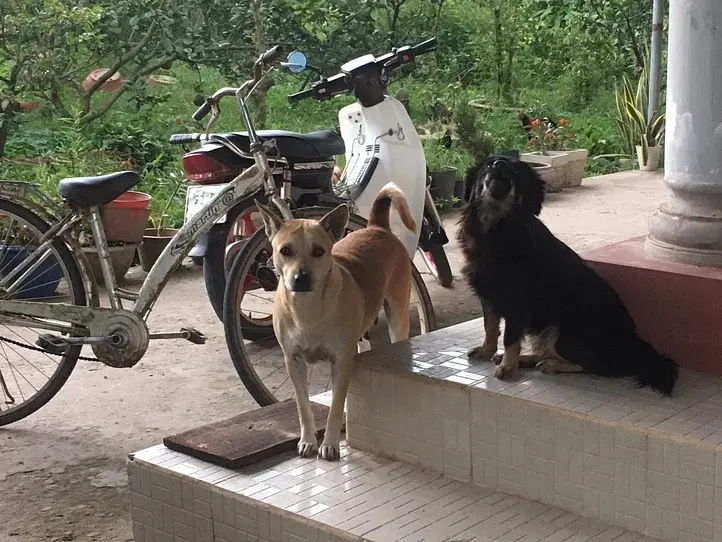 【週末特集】旅をしながら男女が出会える「旅コン」に参加してみた