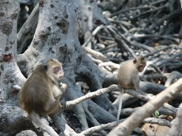 ベトナムらしさ120%！ナチュラルエコツアー「カンザー」を楽しむ