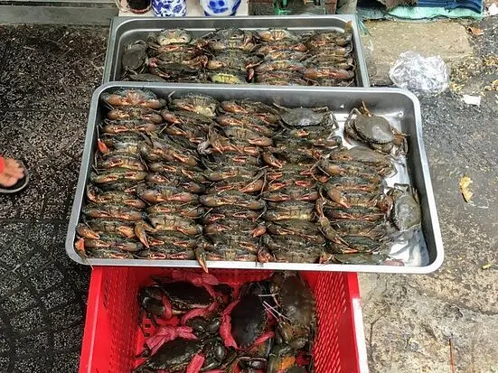 クアン94ゴック