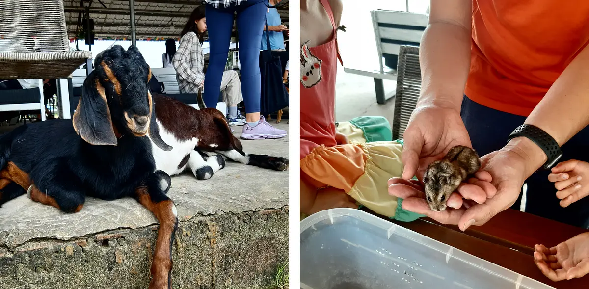 ホーチミン市から30分で行ける乗馬クラブ「Saigon Pony Club」に行ってみた