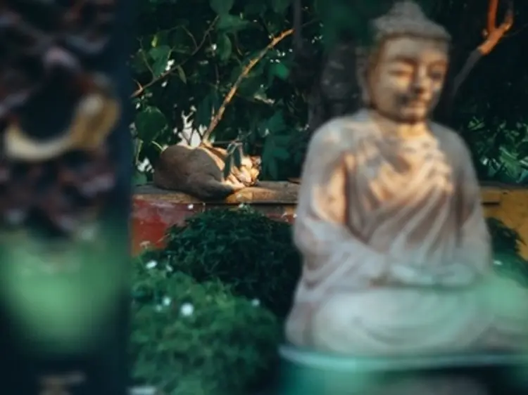 シークレットガーデン