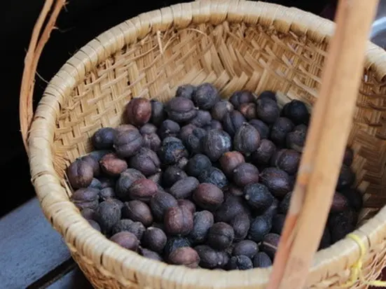 こだわりのシンカフェ・スペシャル・コーヒーを嗜む