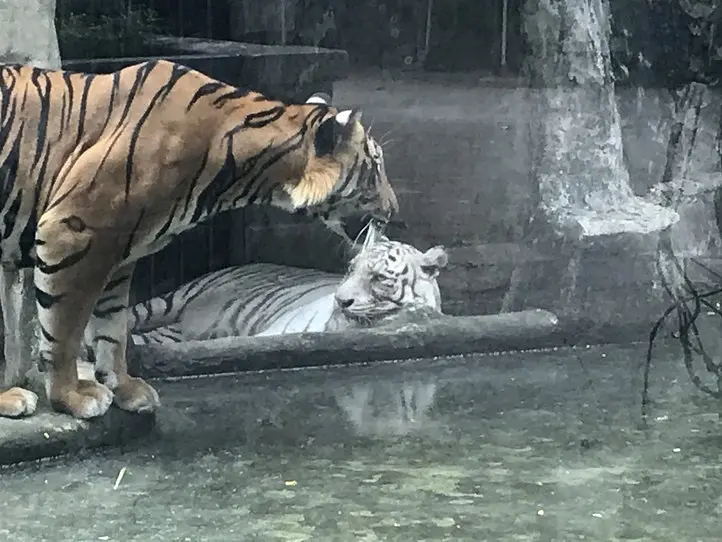 子供から大人まで楽しむことができる、歴史あるサイゴン動植物園