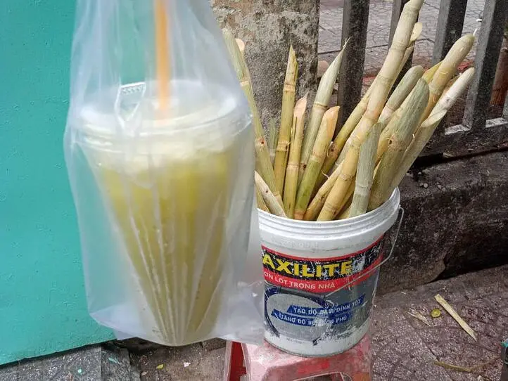 【週末特集】ベトナムの歴史と文化を辿る。ホーチミン市歴史博物館