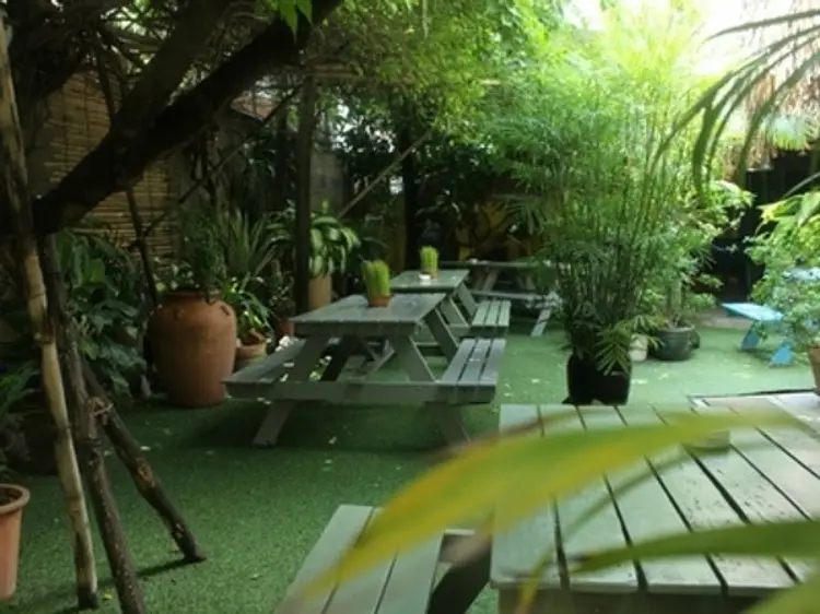 The Snap Cafe (スナップ・カフェ)