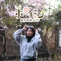 Kim Thoa - ホーチミン観光情報ガイド編集部 avatar