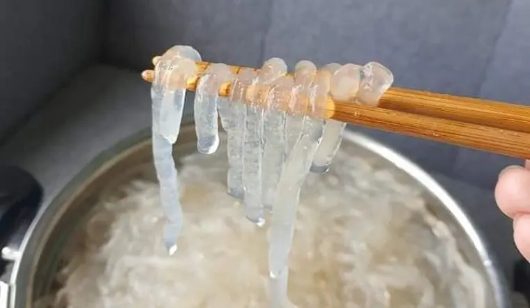 地域によってこんなに違う？「バインカン」の魅力を巡る旅