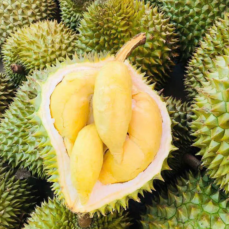 ベトナム 市場！一度は味わいたい魅力的な南国フルーツ14選 