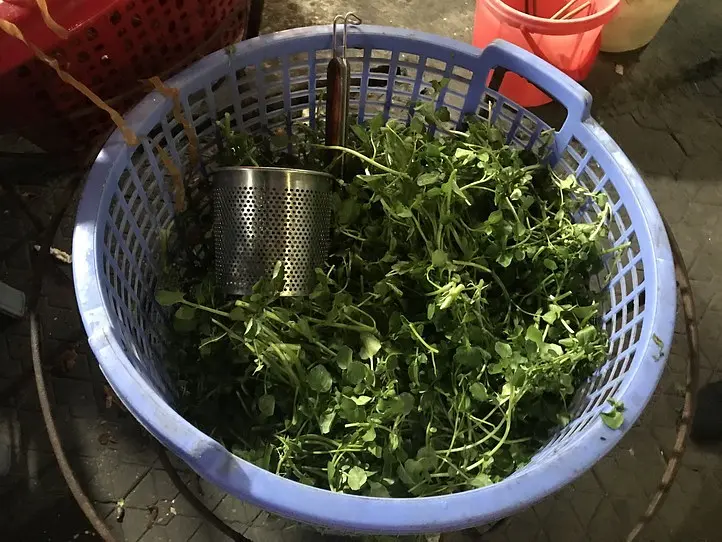 ホーチミンからベトナム北部へショートトリップ〜ハイフォンから世界遺産ハロン湾へ