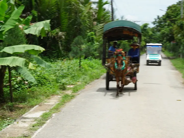 メコン川クルーズ・ツアーに行くならこれがオススメ！〜サイゴンブルートラベルのツアーに参加してみた〜