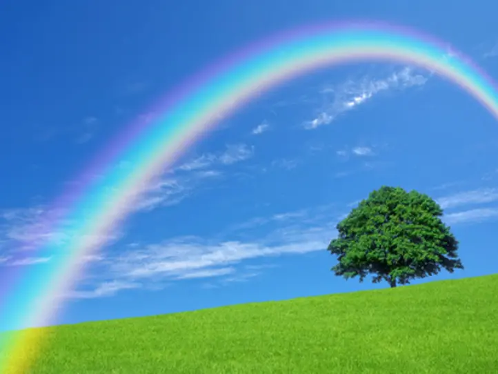 いまどき女子の動行