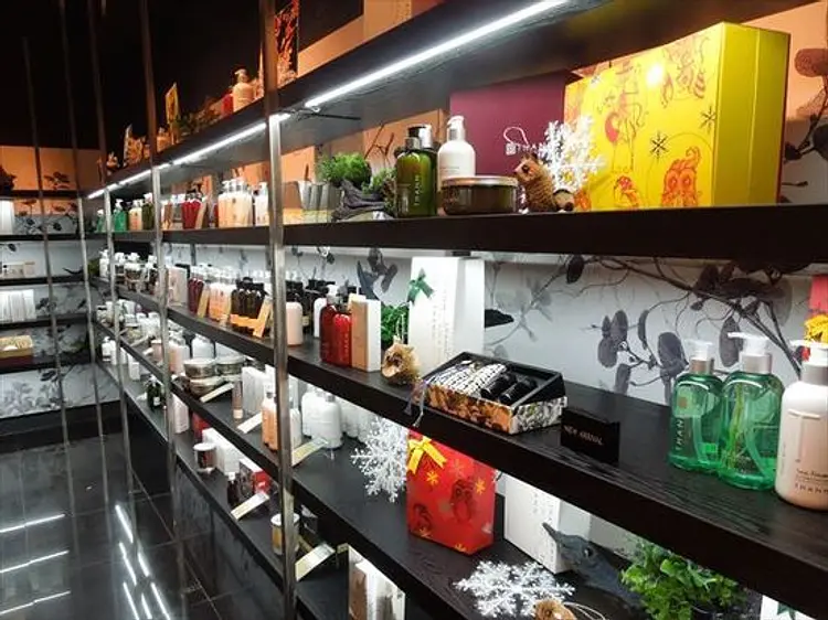 タンサンクチュアリ