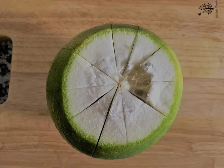 ホーチミンから足を延ばして。ザボン村を訪ねる