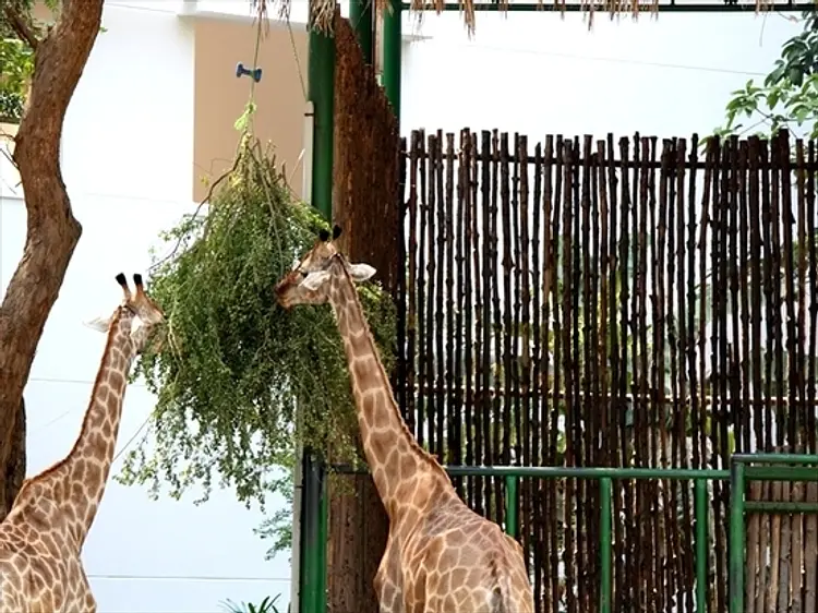 サイゴン動植物園