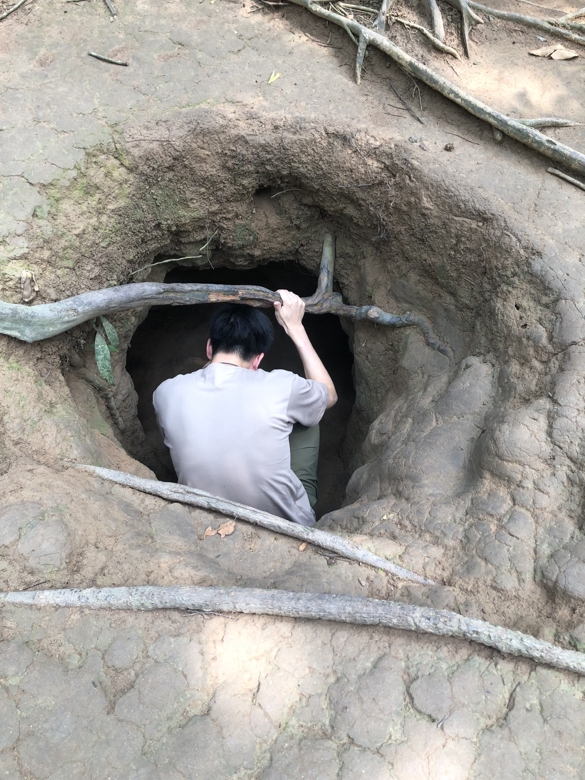 ホーチミン２大観光地！クチトンネル・メコン川クルーズ蛍鑑賞／１日／専用車／昼食・夕食付／日本語ガイド