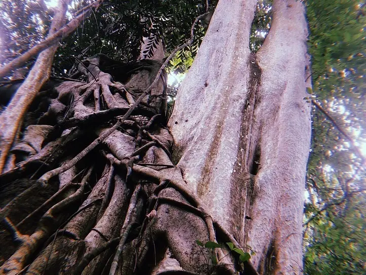 週末特集！カッティエン国立公園近くのホテル宿泊レポ　～オーチャードホームナムカッティエン～