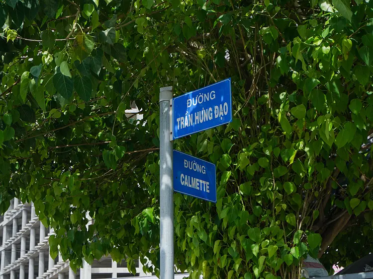 マイ ヘッドスパ & ウェルネス