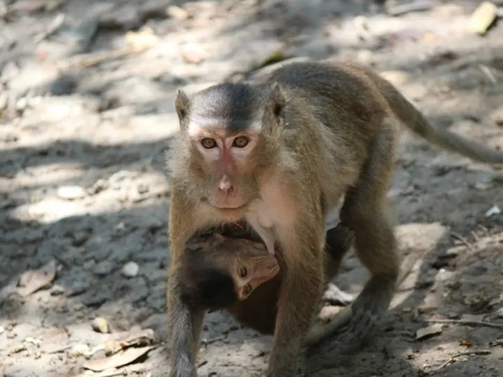 ベトナムらしさ120%！ナチュラルエコツアー「カンザー」を楽しむ