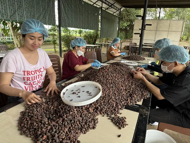 BINON CACAO の物語【後編】—ベトナムカカオ、その多彩な個性