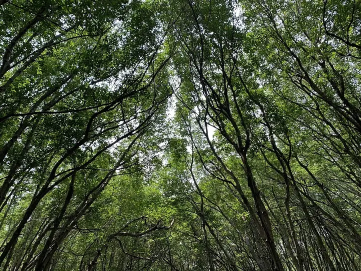 カンザー国立公園にいってみよう