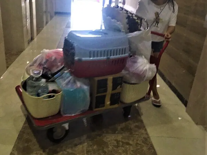 配送アプリ！ララムーブ（Lalamove）で引っ越ししてみた